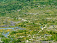 W drodze z Trolltungi
